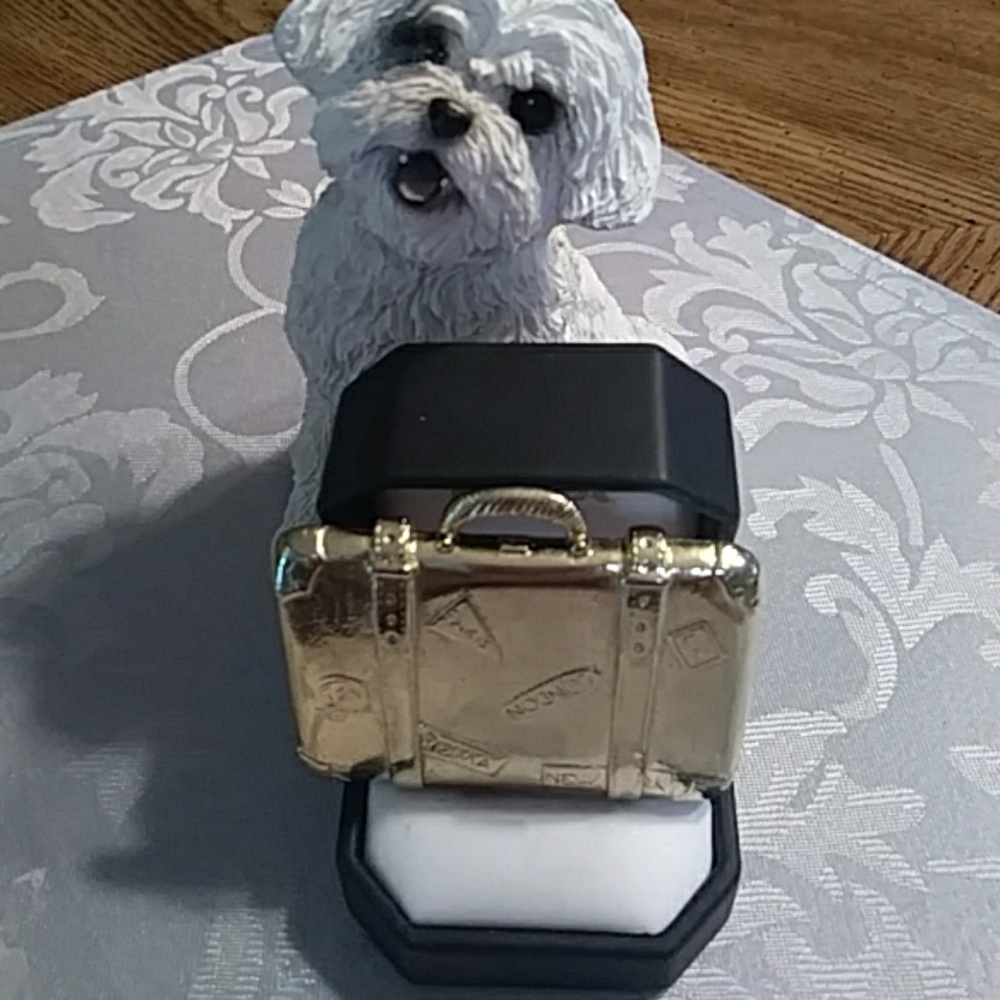Suitecase brooch.